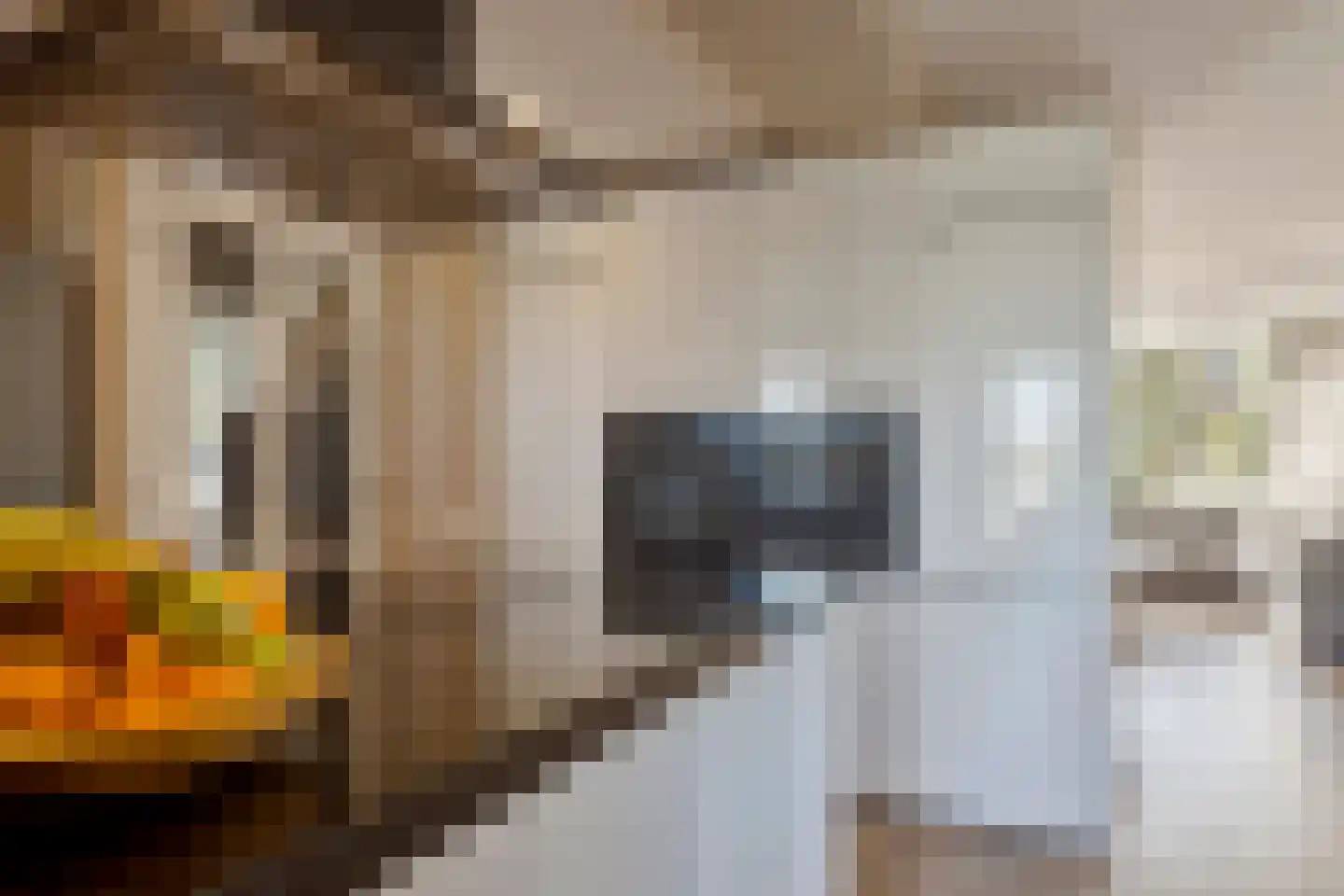 Tarwestraat 43 Ridderkerk thumbnail 13