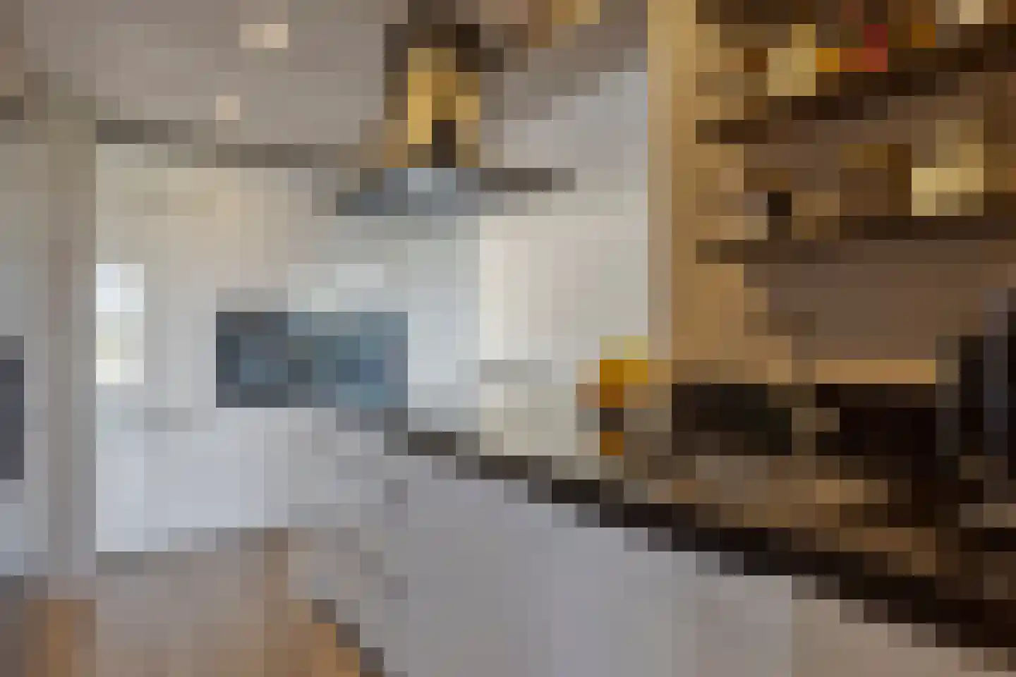 Tarwestraat 43 Ridderkerk thumbnail 14