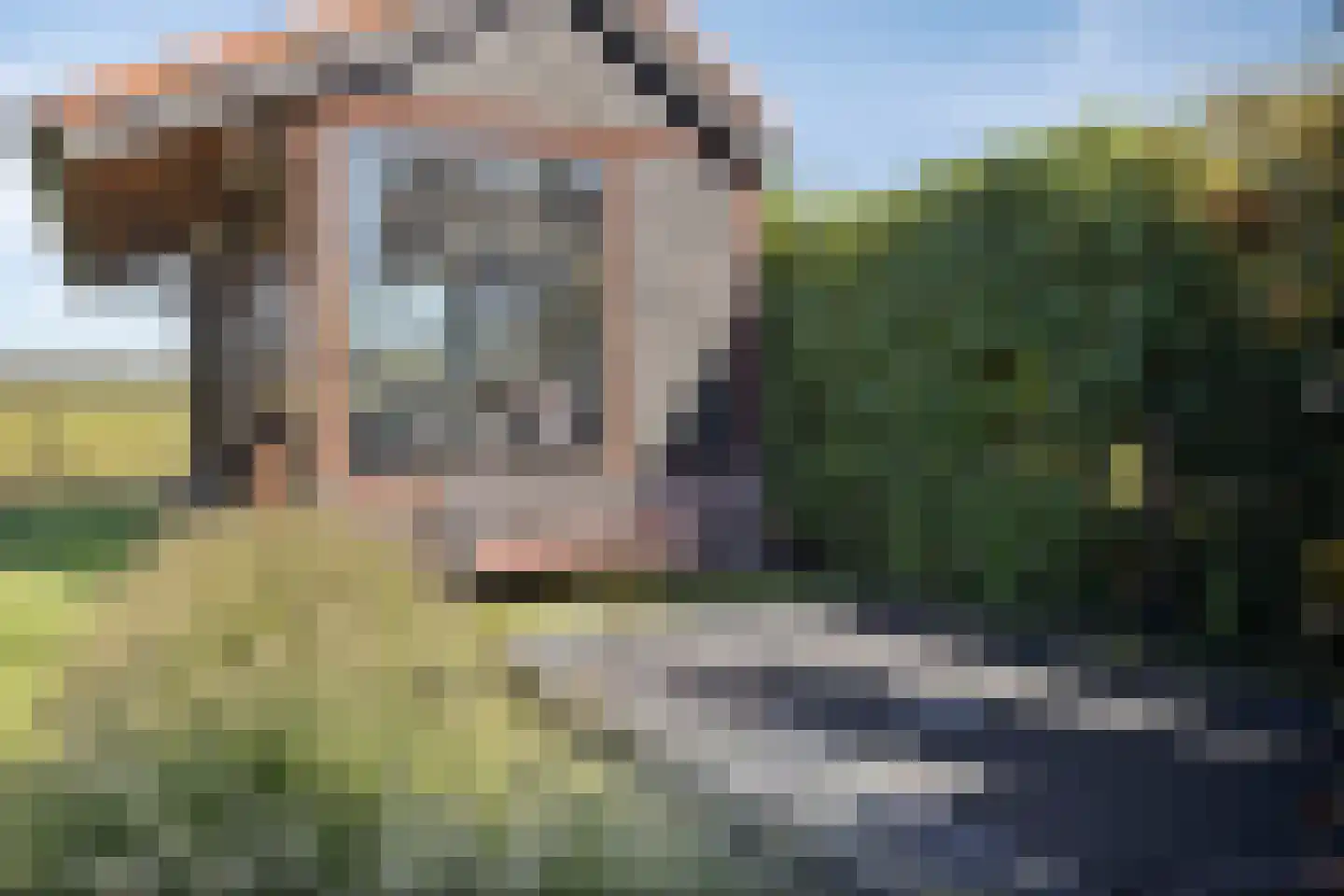 Tarwestraat 43 Ridderkerk thumbnail 41