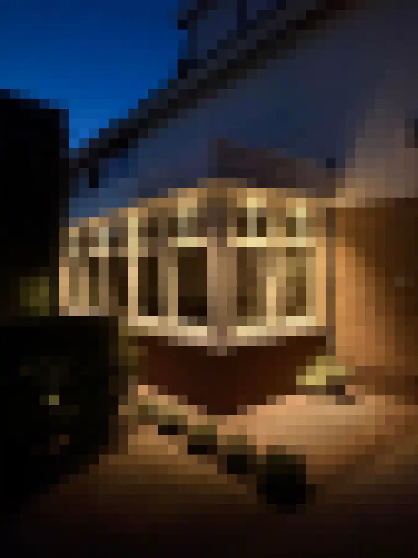 Tarwestraat 43 Ridderkerk thumbnail 44