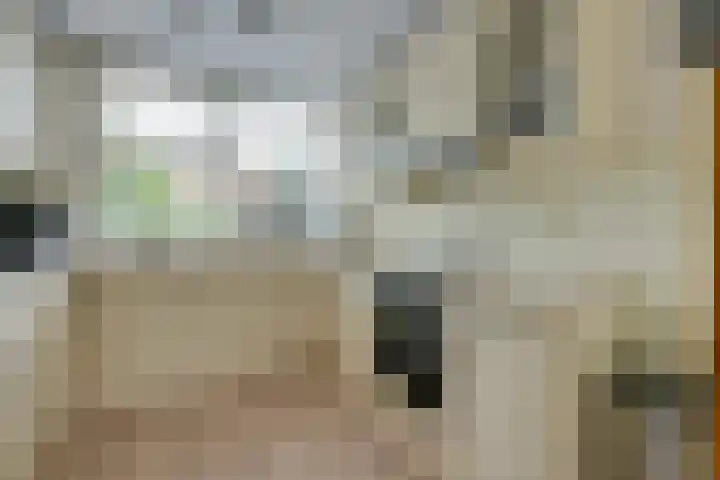 Tarwestraat 69 Purmerend thumbnail 20