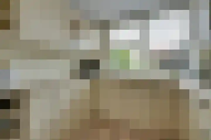 Tarwestraat 69 Purmerend thumbnail 22