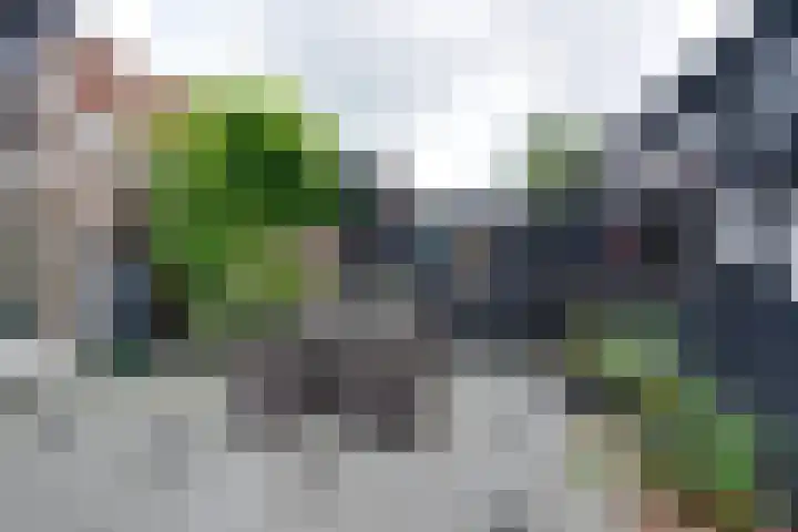 Tarwestraat 69 Purmerend thumbnail 32
