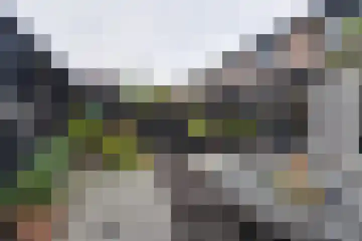 Tarwestraat 69 Purmerend thumbnail 33