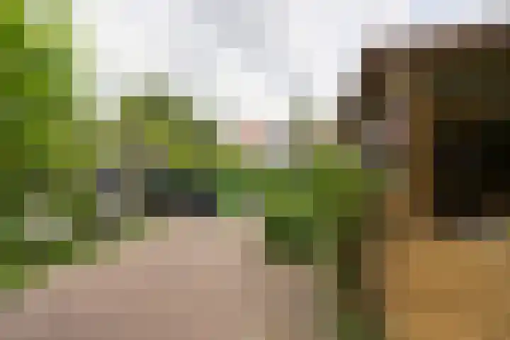 Tarwestraat 69 Purmerend thumbnail 35