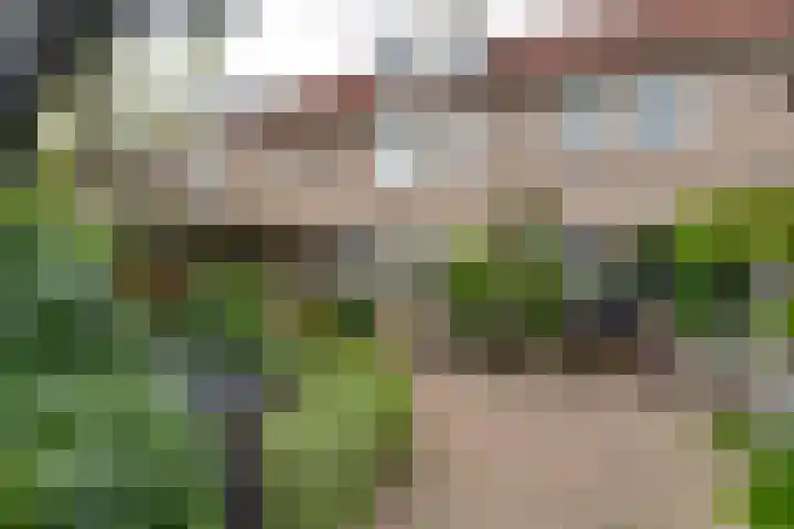 Tarwestraat 69 Purmerend thumbnail 7