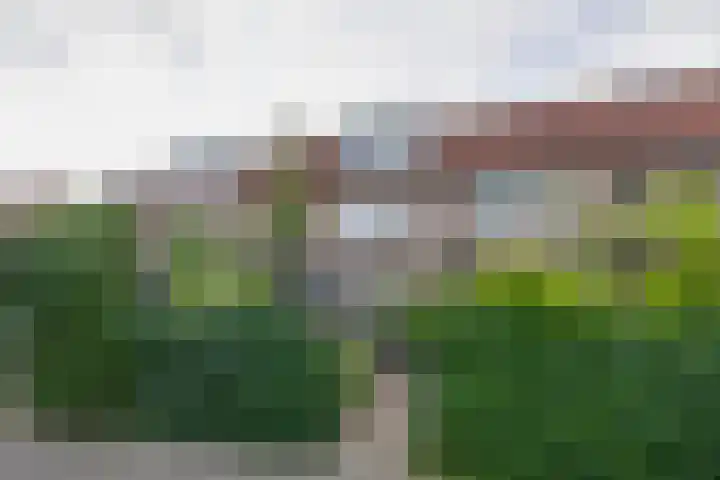 Tarwestraat 69 Purmerend thumbnail 70