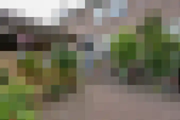 Tarwestraat 69 Purmerend thumbnail 8