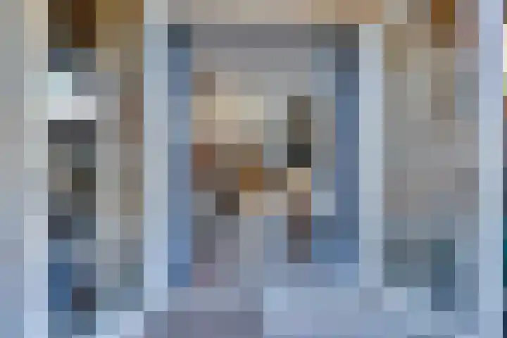 Tarwestraat 8 Lewedorp thumbnail 31