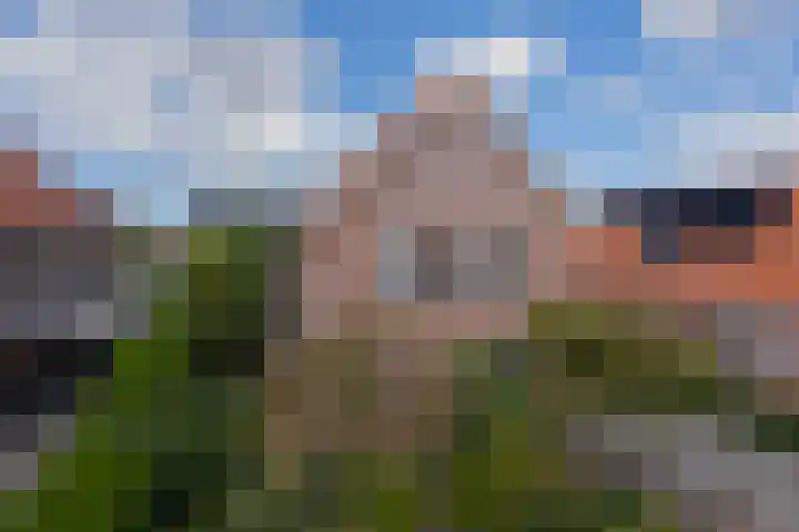 Tarwestraat 8 Lewedorp thumbnail 4