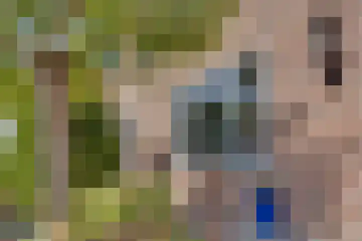 Tarwestraat 8 Lewedorp thumbnail 5