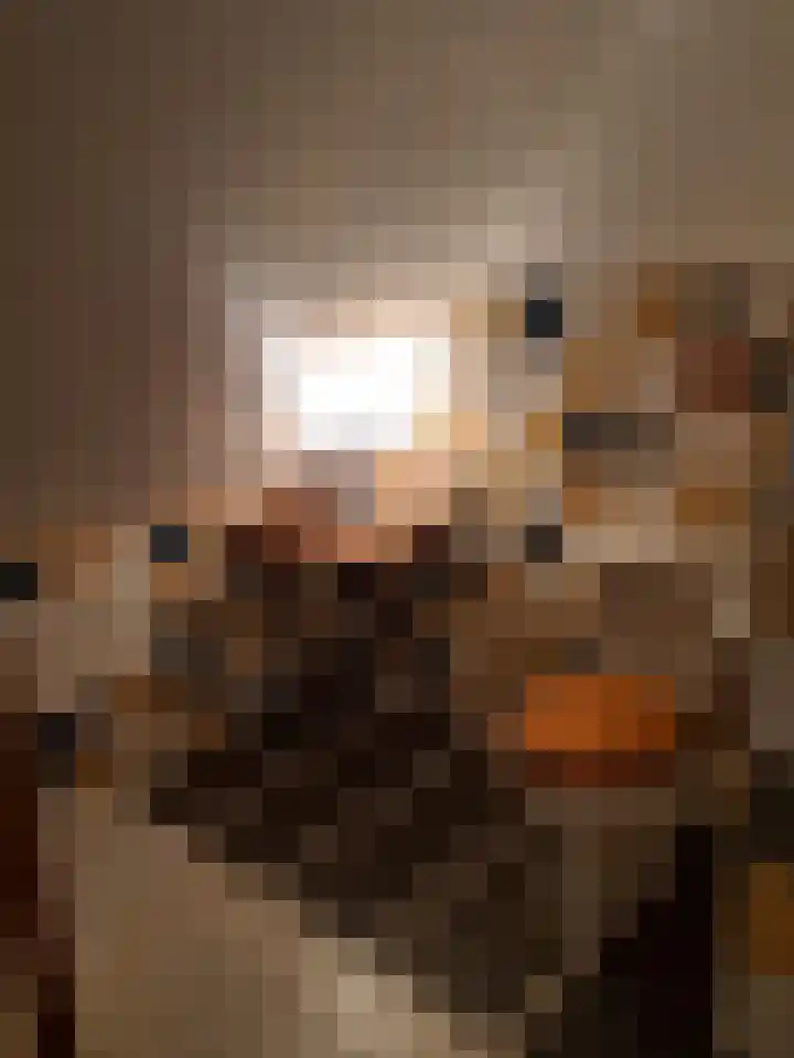 Tarwestraat 8 Lewedorp thumbnail 55