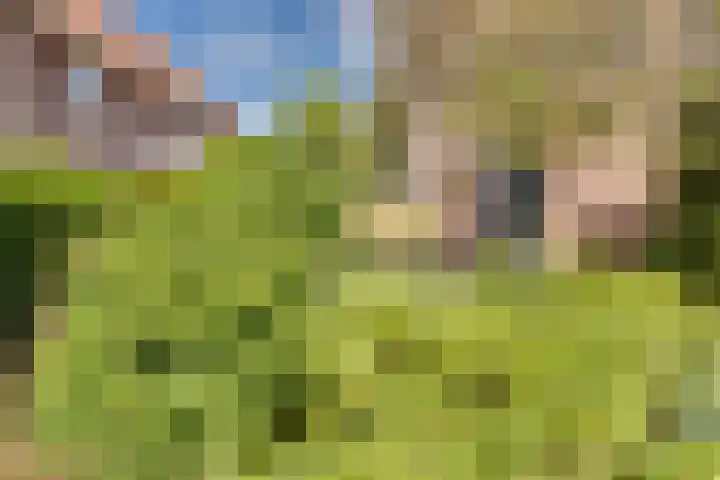 Tarwestraat 8 Lewedorp thumbnail 6