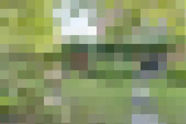 Tarwestraat 8 Lewedorp thumbnail 66
