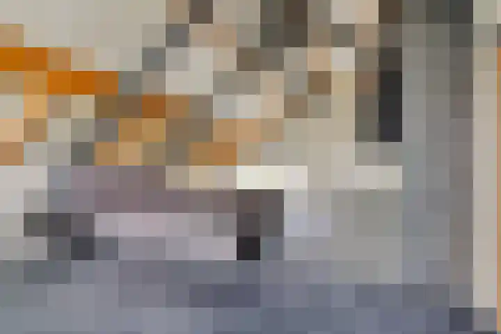 Tarwestraat 87 Berghem thumbnail 26