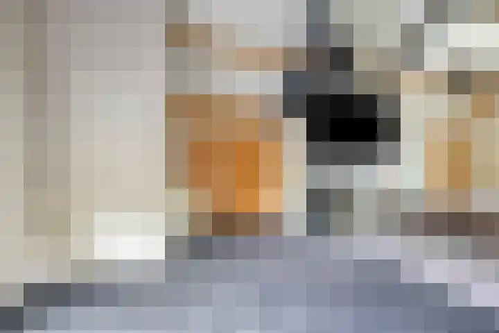 Tarwestraat 87 Berghem thumbnail 27