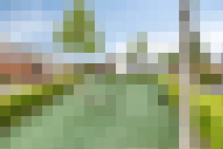 Tarwestraat 87 Berghem thumbnail 36