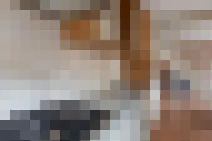 Tarwestraat 87 Berghem thumbnail 5