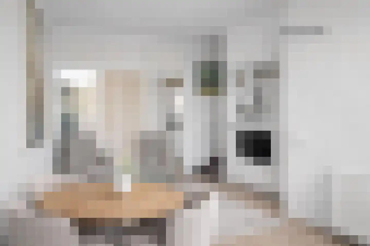 Tarwestraat 87 Berghem thumbnail 6