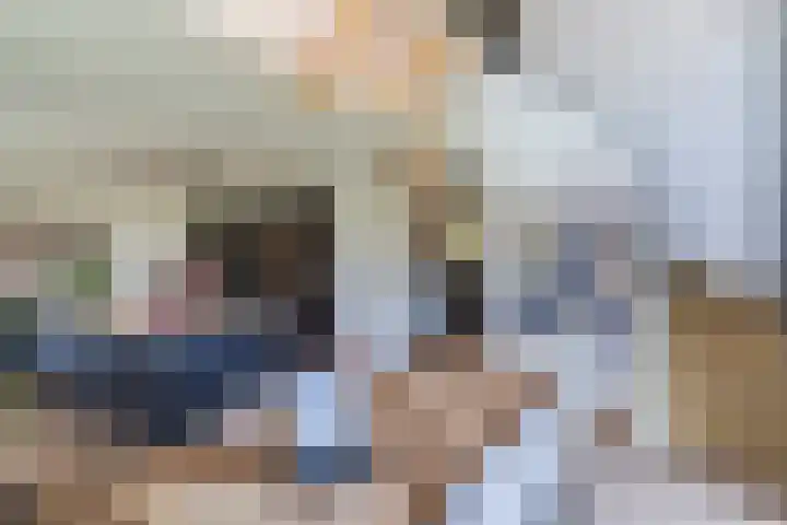 Tarweveld 10 Gilze thumbnail 16