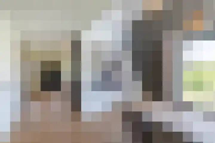 Tarweveld 10 Gilze thumbnail 17