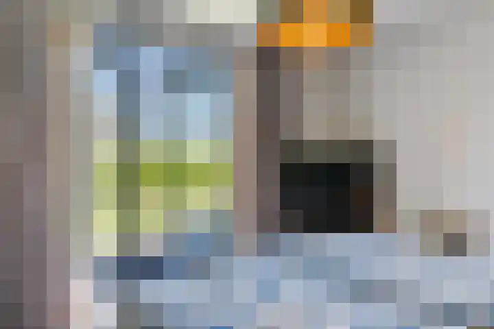 Tarweveld 10 Gilze thumbnail 26