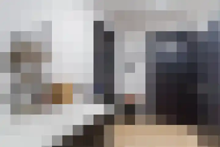Tarweveld 10 Gilze thumbnail 33