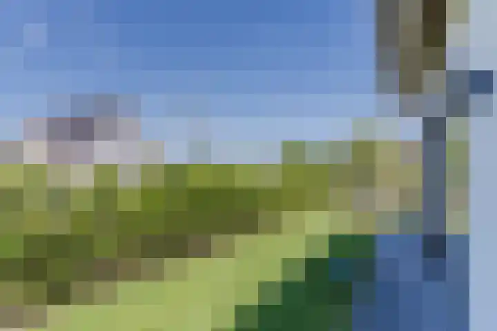 Tarweveld 10 Gilze thumbnail 37