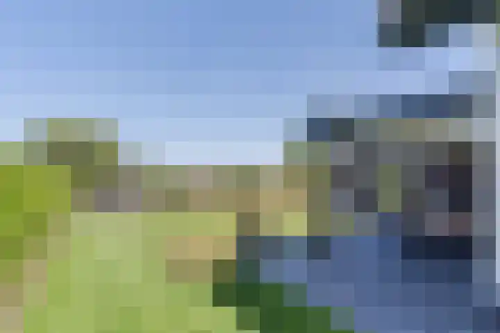 Tarweveld 10 Gilze thumbnail 39