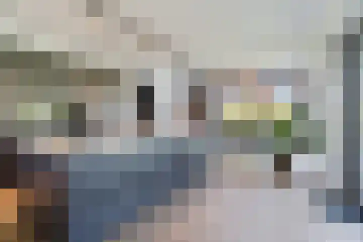 Tarweveld 10 Gilze thumbnail 4