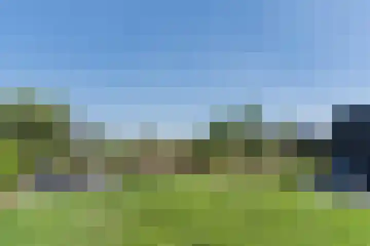 Tarweveld 10 Gilze thumbnail 40
