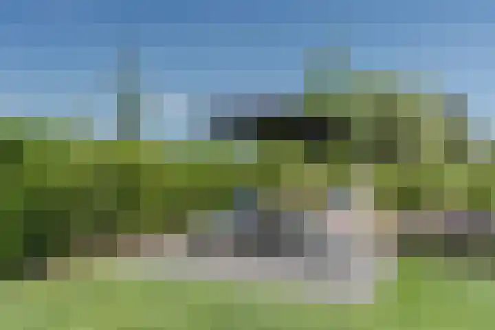 Tarweveld 10 Gilze thumbnail 41