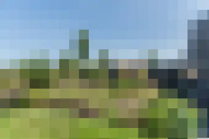 Tarweveld 10 Gilze thumbnail 42