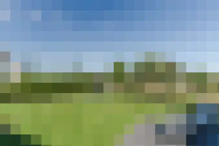 Tarweveld 10 Gilze thumbnail 43