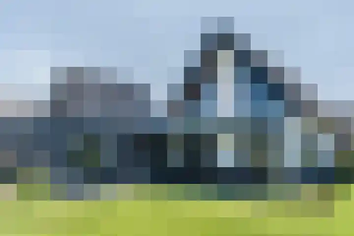 Tarweveld 10 Gilze thumbnail 45