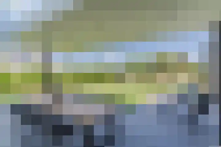 Tarweveld 10 Gilze thumbnail 47