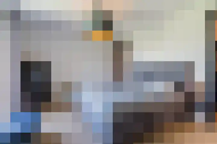 Tarweveld 10 Gilze thumbnail 5