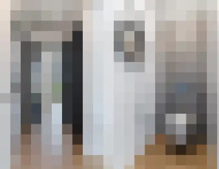 Tarweveld 10 Gilze thumbnail 51