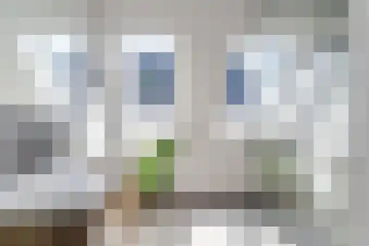 Tarweveld 10 Gilze thumbnail 60