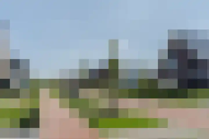 Tarweveld 10 Gilze thumbnail 64