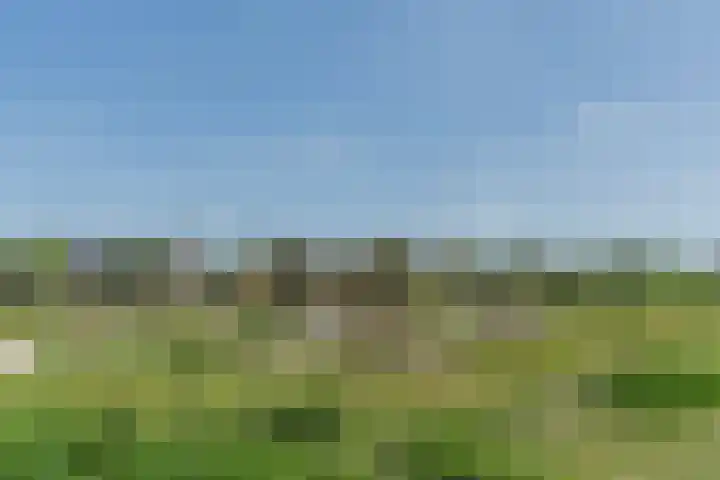 Tarweveld 10 Gilze thumbnail 65