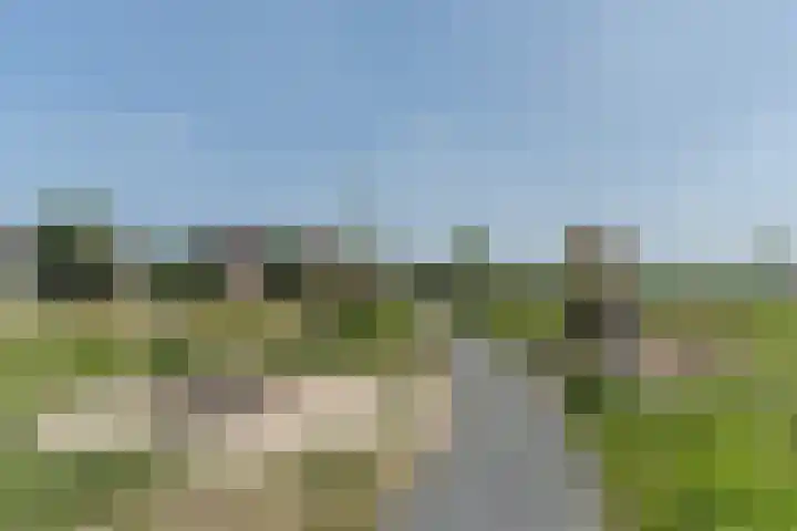 Tarweveld 10 Gilze thumbnail 66