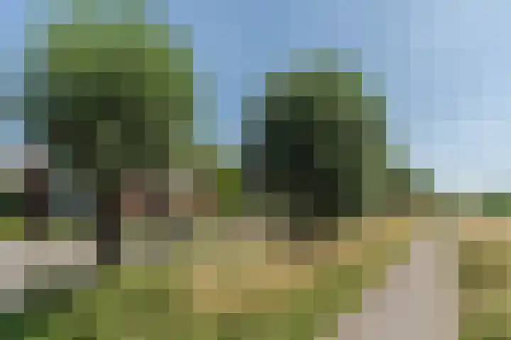 Tarweveld 10 Gilze thumbnail 67