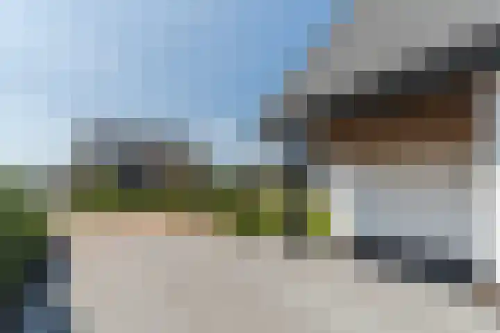 Tarweveld 10 Gilze thumbnail 8