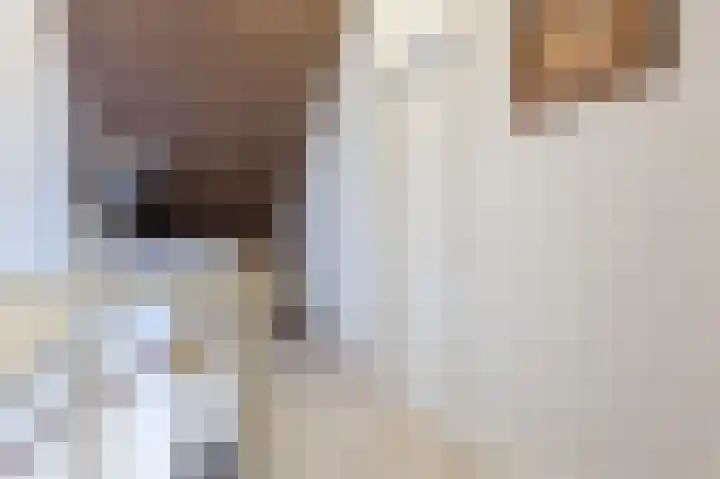 Tarweveld 20 Beneden-Leeuwen thumbnail 32