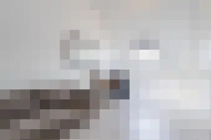 Tarweveld 20 Beneden-Leeuwen thumbnail 34