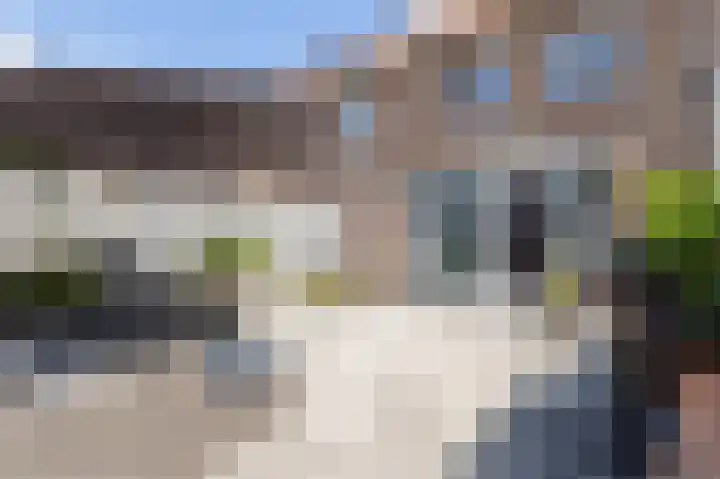Tarweveld 20 Beneden-Leeuwen thumbnail 35
