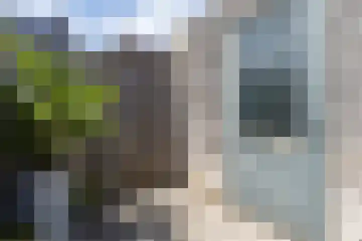 Tarweveld 20 Beneden-Leeuwen thumbnail 37