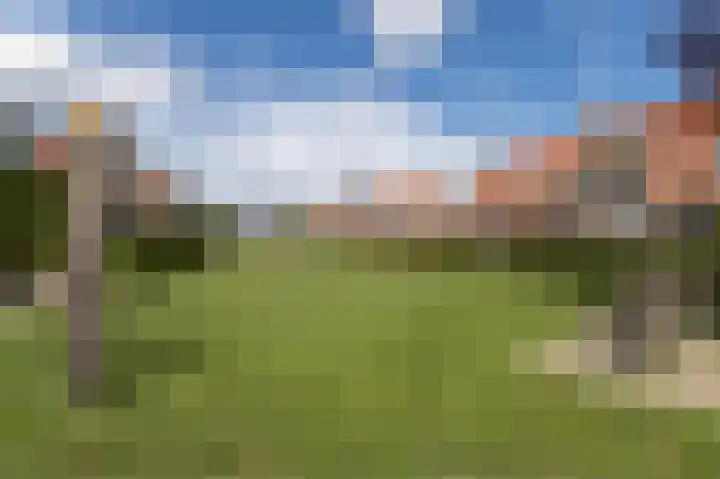 Tarweveld 20 Beneden-Leeuwen thumbnail 39