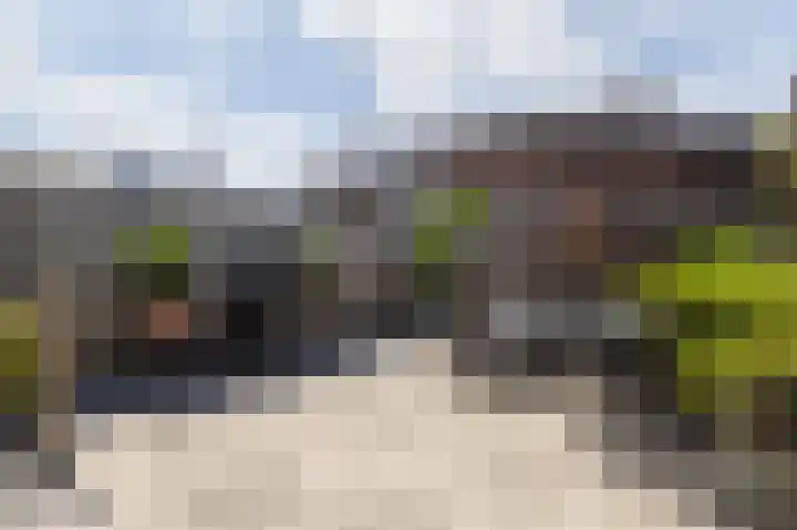 Tarweveld 20 Beneden-Leeuwen thumbnail 4
